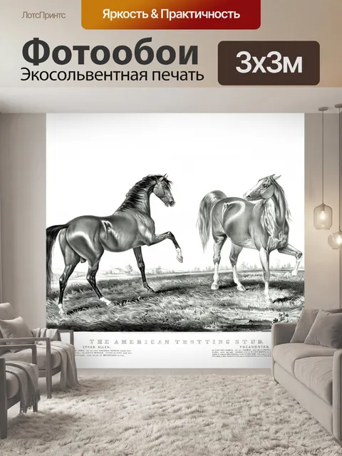 Фотообои Лошади Красивая печати