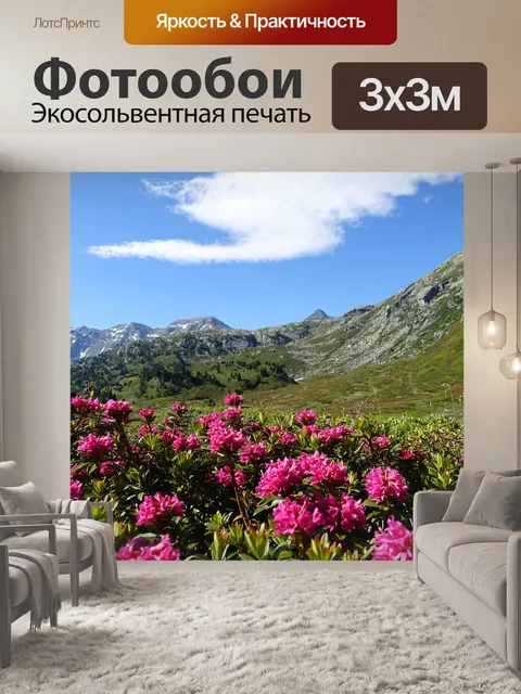 Фотообои Горы