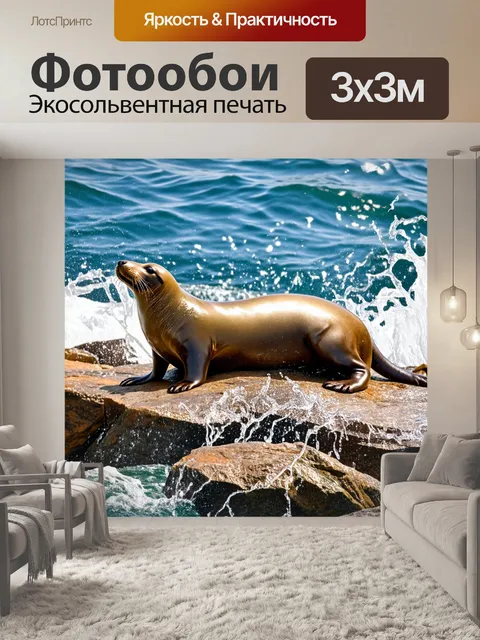 Фотообои охота на морских львов на скалах