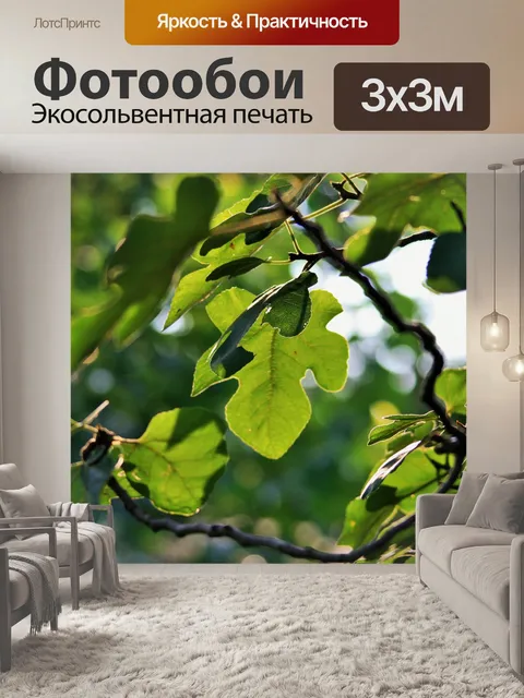 Фотообои Отображение фиговых листьев