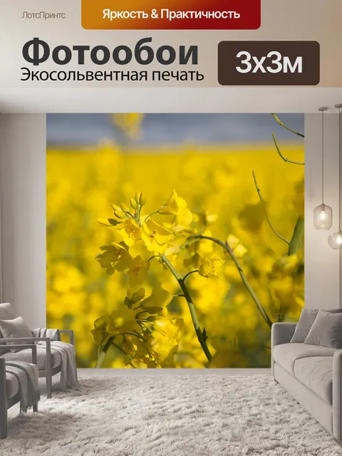 Фотообои Область желтого рапса