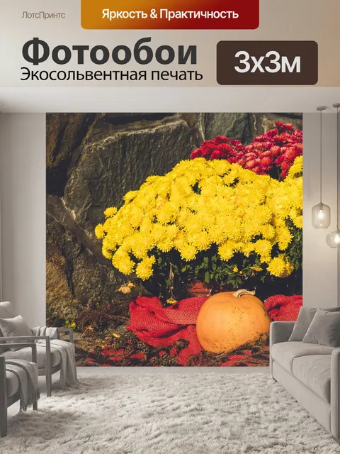 Фотообои тыква и хризантемы