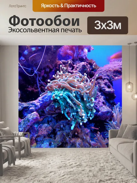 Фотообои Коралл