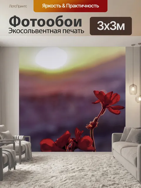 Фотообои Солнце
