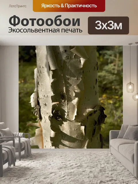 Фотообои Дерево
