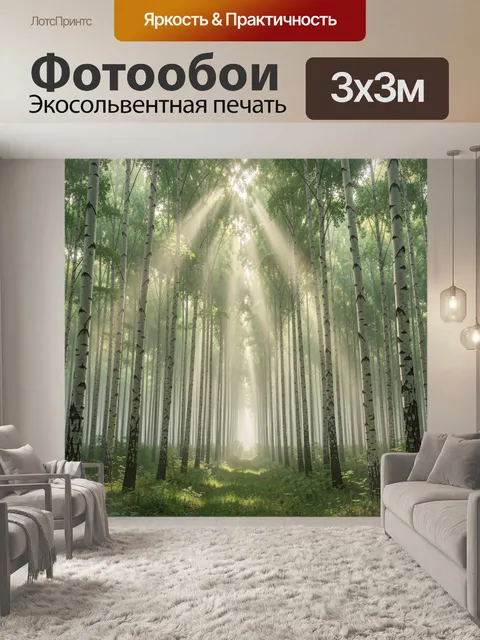 Фотообои Березовая роща в туманном свете