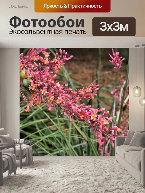 Фотообои Красные цветы Юкки