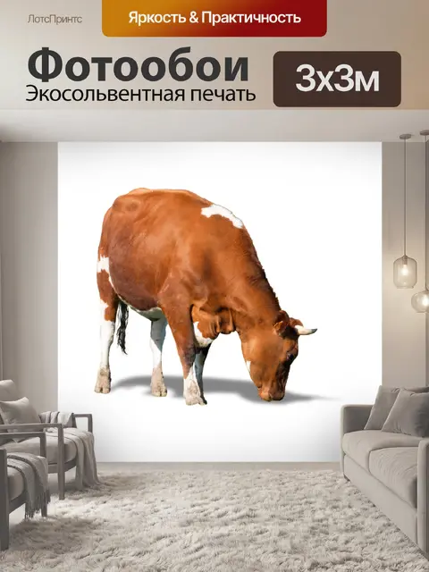 Фотообои Корова, сельскохозяйственное животное, м