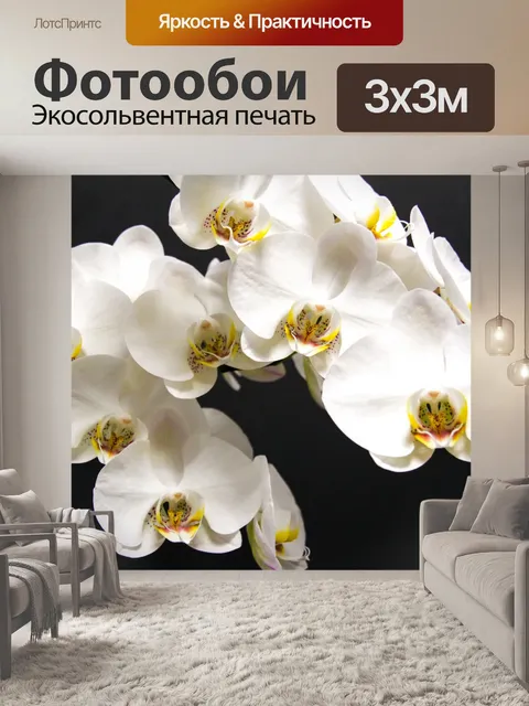 Фотообои Белая орхидея