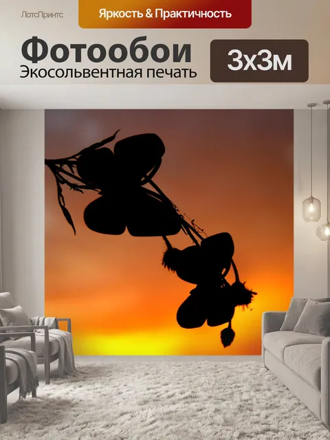 Фотообои Бабочки