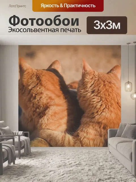 Фотообои Кошки