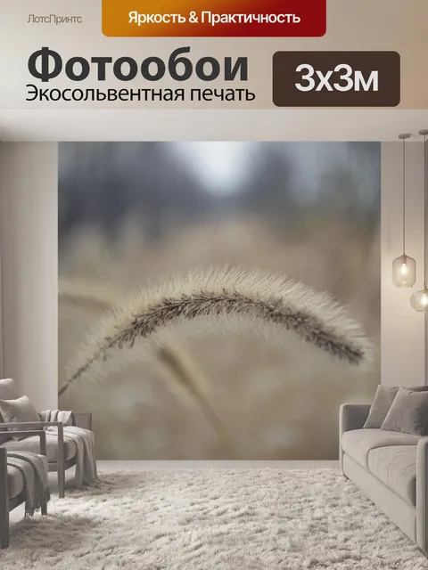 Фотообои Трава собачьего хвоста