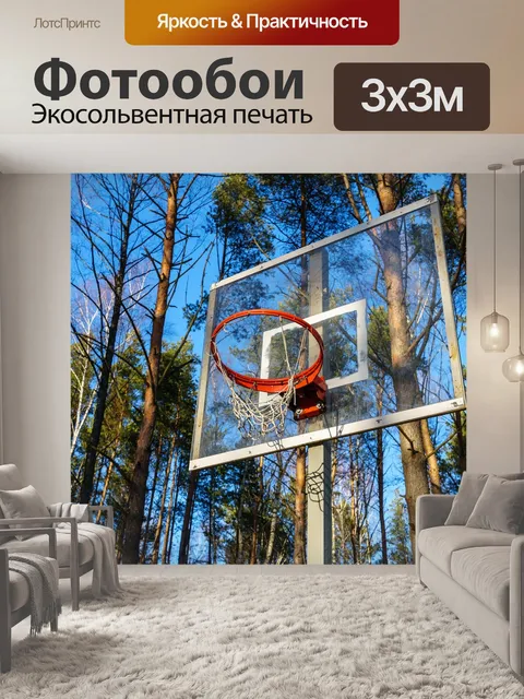 Фотообои Баскетбольное кольцо