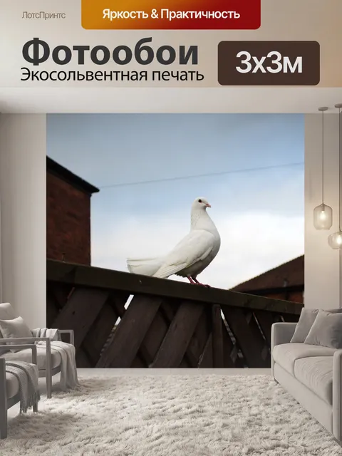 Фотообои постановка белый голубь