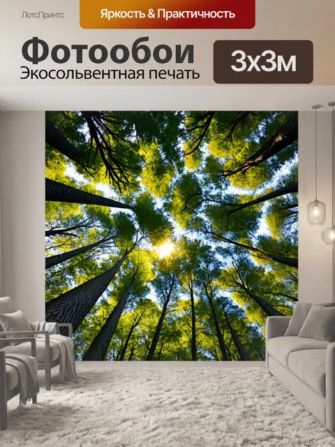 Фотообои лесная симфония с ветвями, стучащими к солнцу, с симметрией и гармонией
