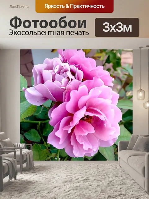 Фотообои Розы