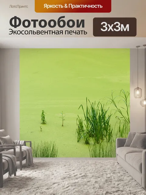 Фотообои Ряска трава пруд