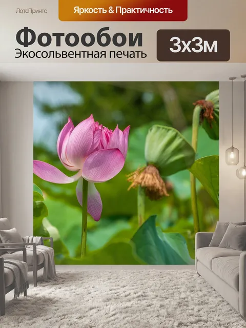 Фотообои Lotus