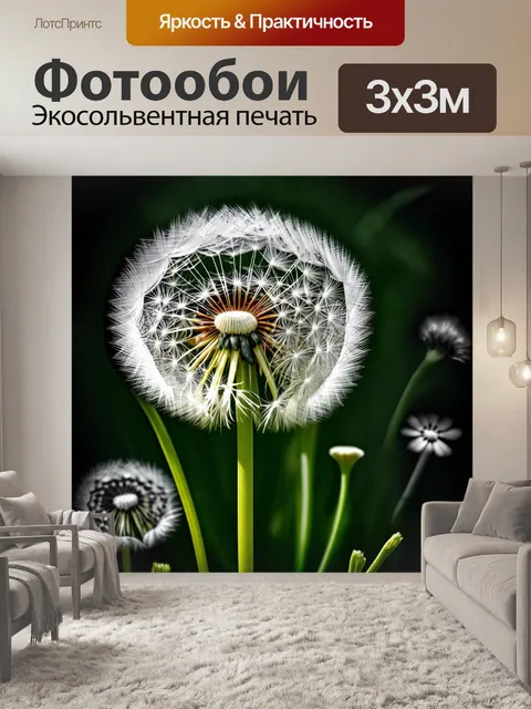 Фотообои зеленые в стиле черно-белый, показывающие одуванчики и другие полевые цветы в черно-белой гамме