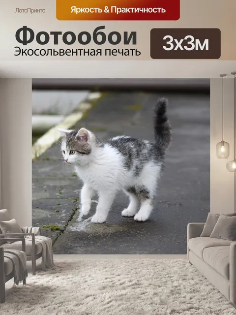 Фотообои Кошка
