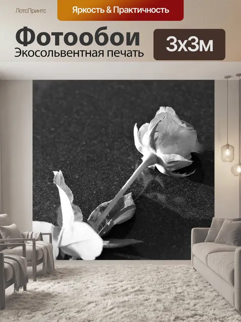 Фотообои Роза