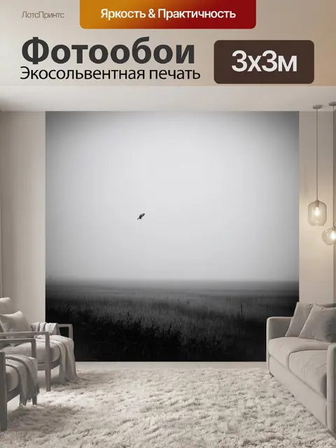 Фотообои охота в туманном утре на безбрежных полях, где сова парит, ищет добычу среди крышевидных трав