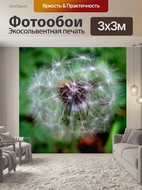 Фотообои белые пучки одуванчика