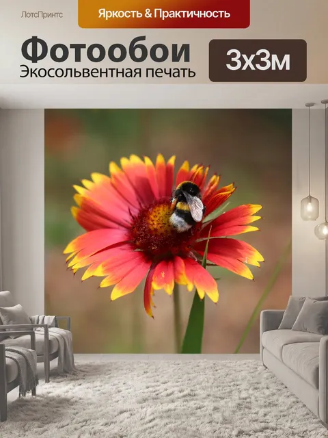 Фотообои Огненное колесо