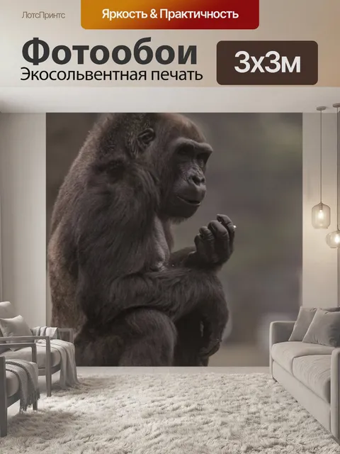 Фотообои горилла