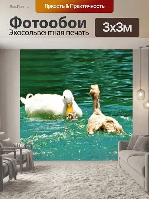 Фотообои Утки спариваются в озере