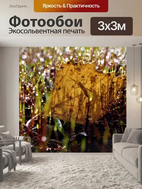 Фотообои Журнал сентября