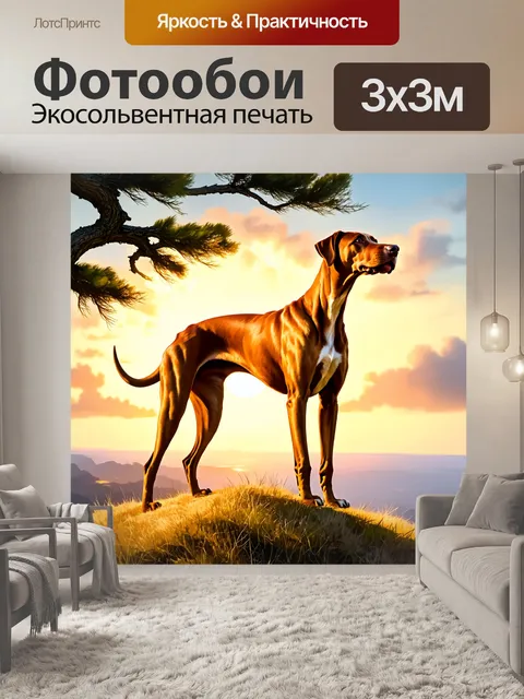 Фотообои описание родезийского риджбека