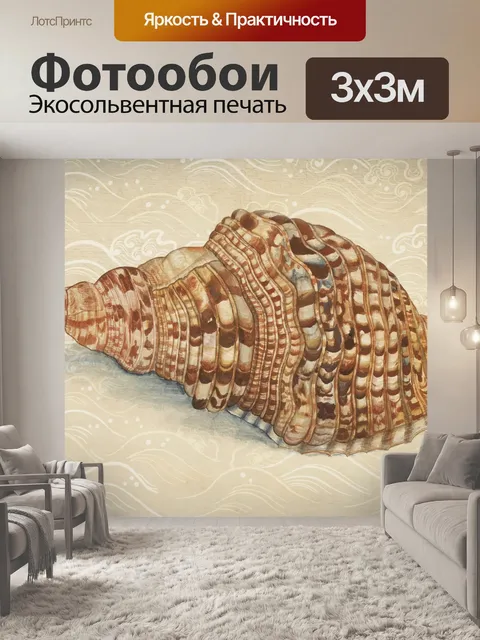 Фотообои Ракушки старинные плакат искусства