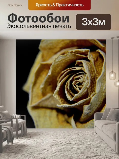 Фотообои Роуз
