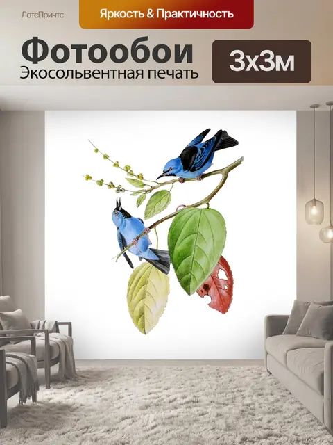 Фотообои Винтажное искусство Honeycreeper Bird