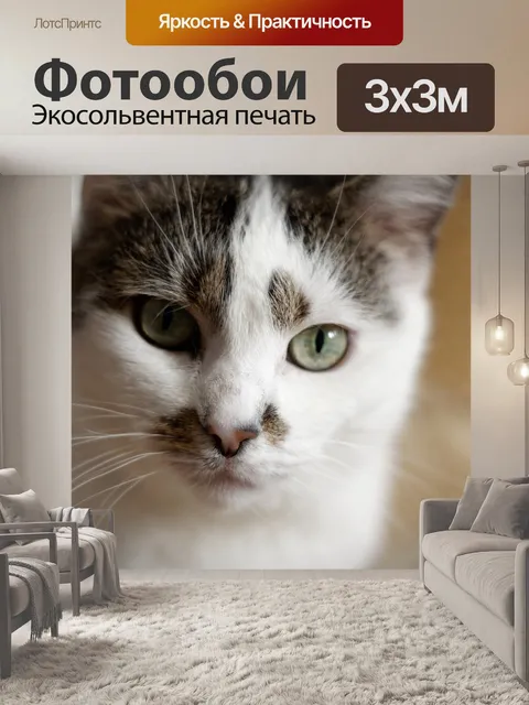 Фотообои Кот