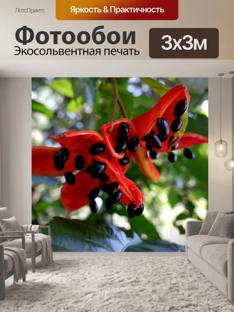 Фотообои Цветок