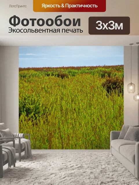 Фотообои поле, где растет множество редких и экзотических растений, создавая живописный пейзаж
