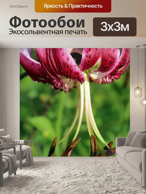 Фотообои Турка шапка лилии