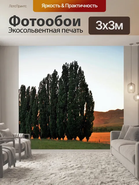 Фотообои Тополя на закате