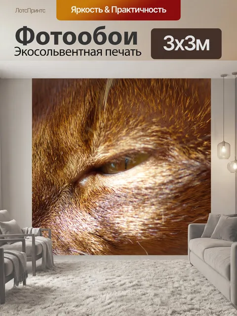 Фотообои Кот