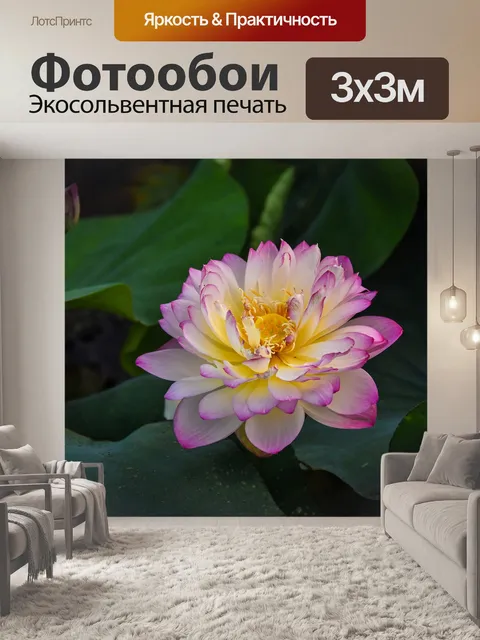 Фотообои Золотой лотос розовый границы