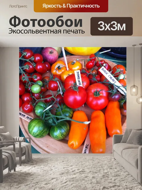Фотообои Овощи