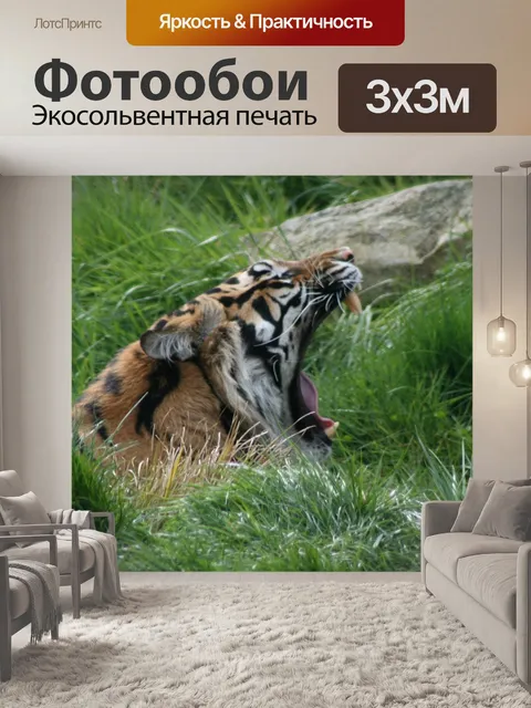 Фотообои Ревущие Тигра