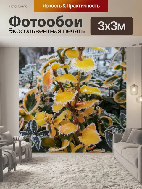 Фотообои Зима