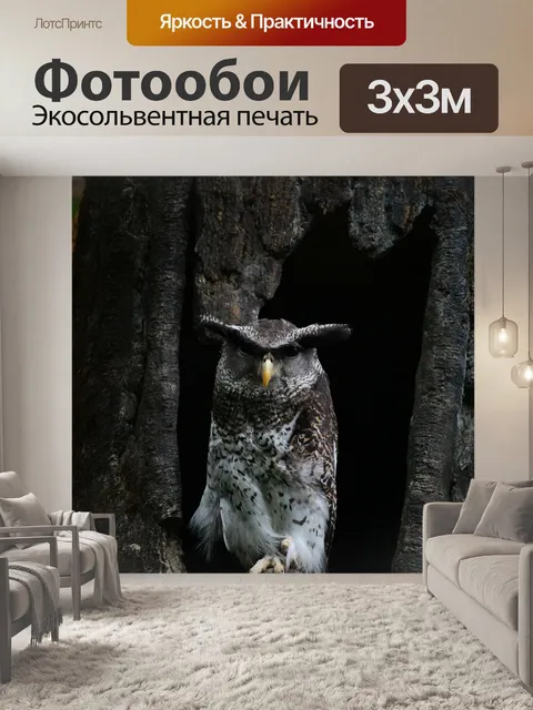 Фотообои Белуккетупа