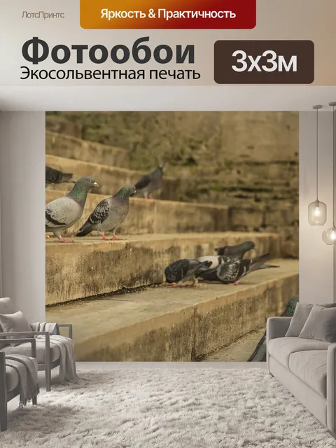 Фотообои Птица
