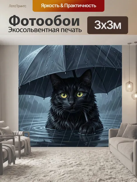 Фотообои Черный кот под дождем