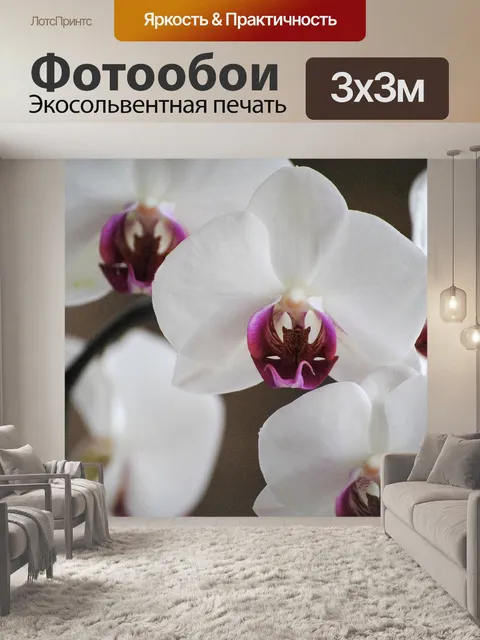 Фотообои Орхидеи