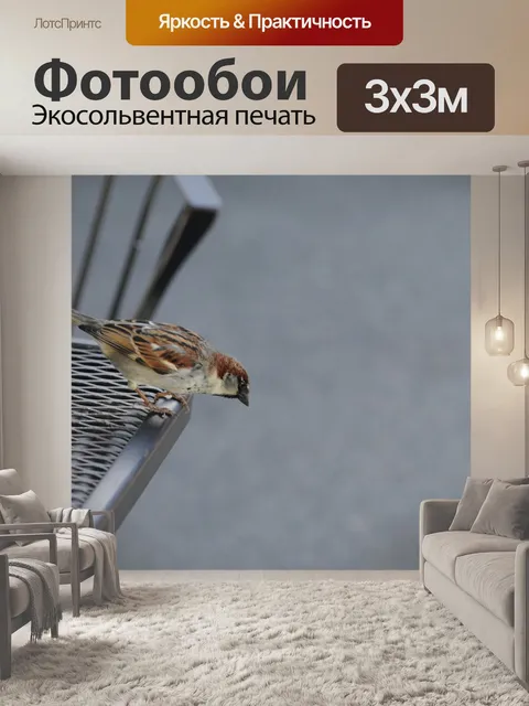 Фотообои Голодная птица